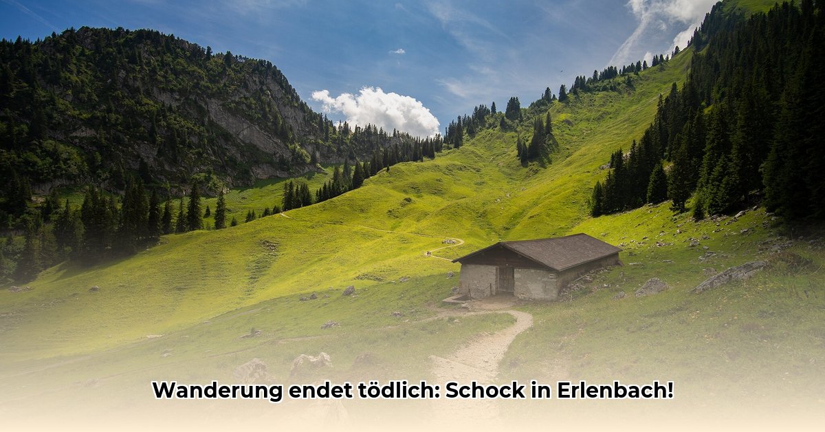 unfall-erlenbach-im-simmental-heute